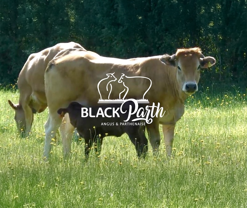 Yohann Jounaux - Artisan - 